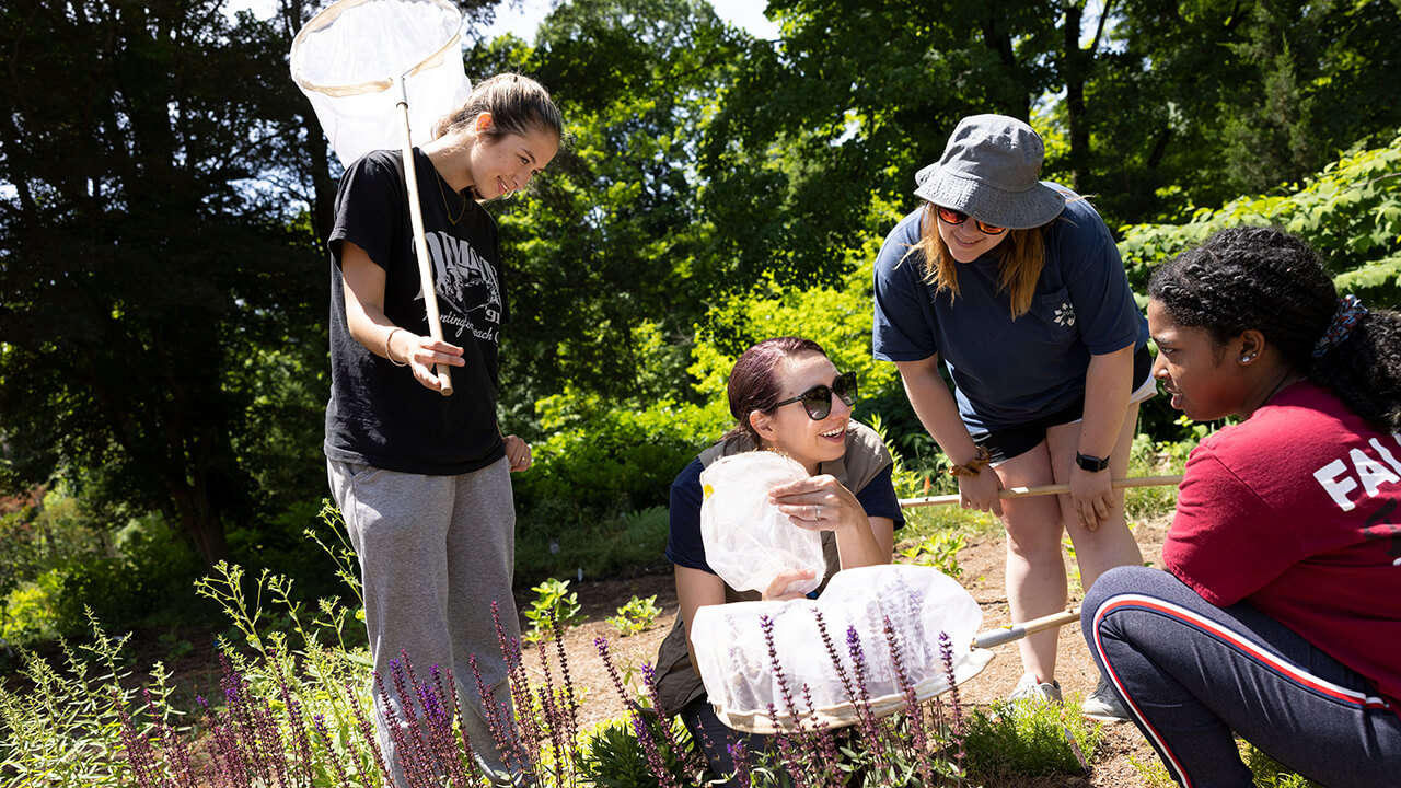 People discuss research in the Quinnipiac pollinator garden