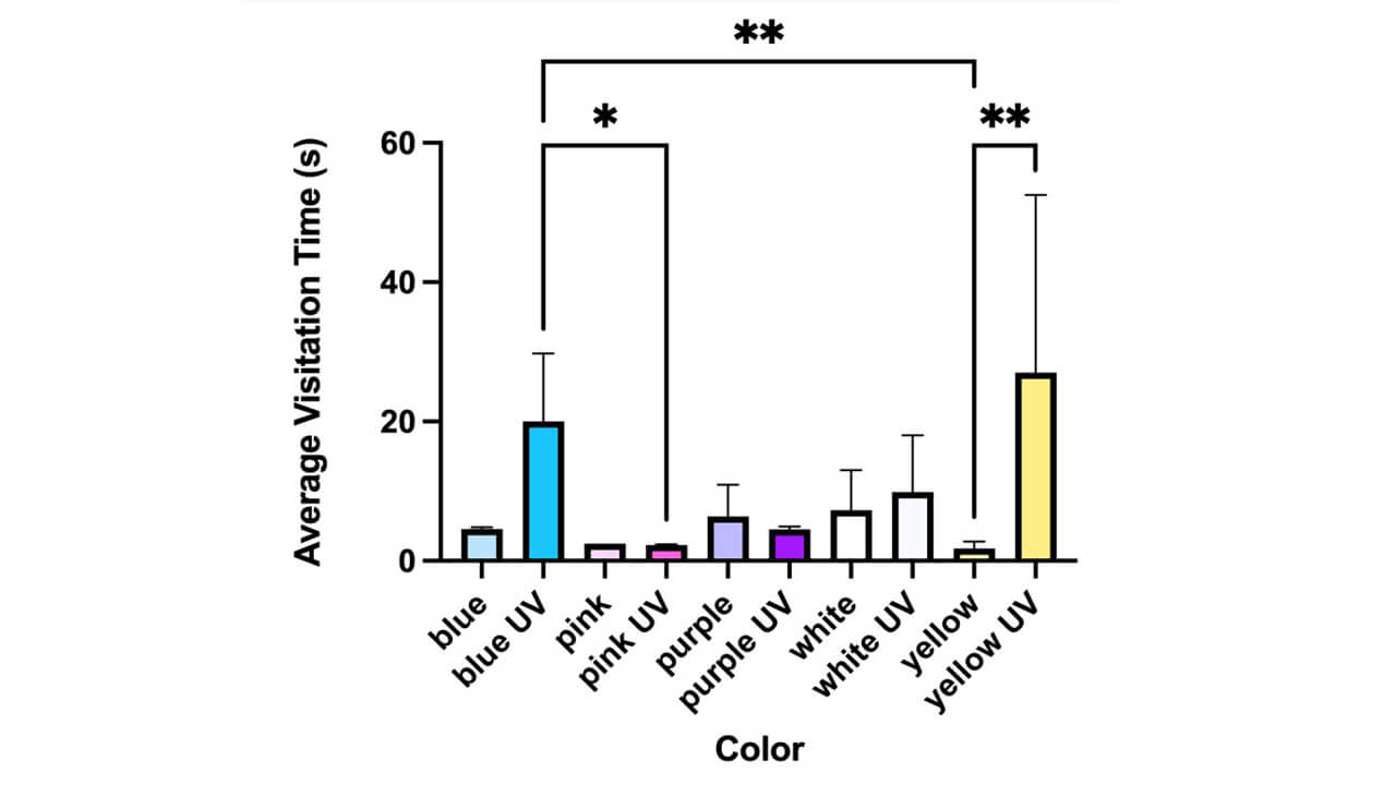 Graph showing average visitation time by hymenopterans